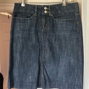 Banana Republic skirt size 6